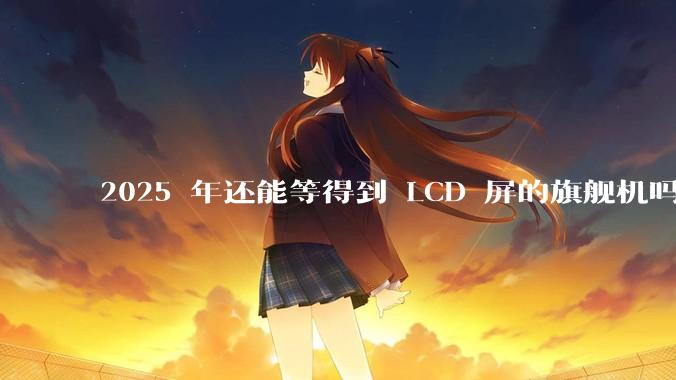 2025 年还能等得到 LCD 屏的旗舰机吗？