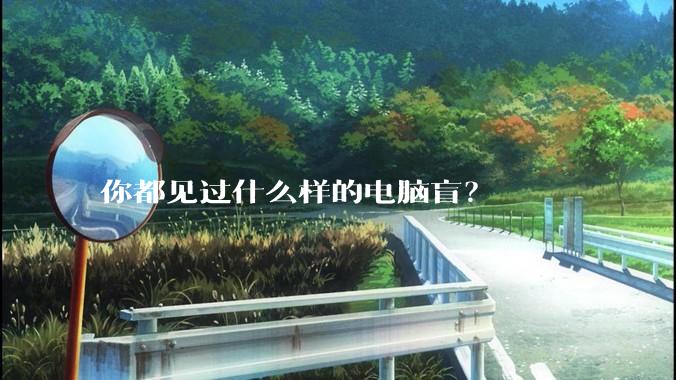 你都见过什么样的电脑盲？