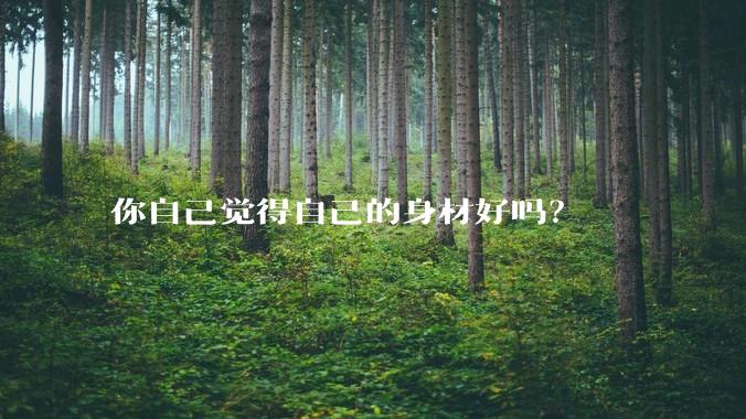你自己觉得自己的身材好吗？