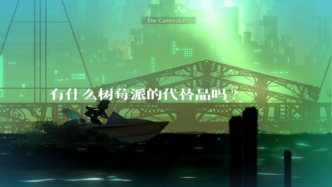 有什么树莓派的代替品吗?