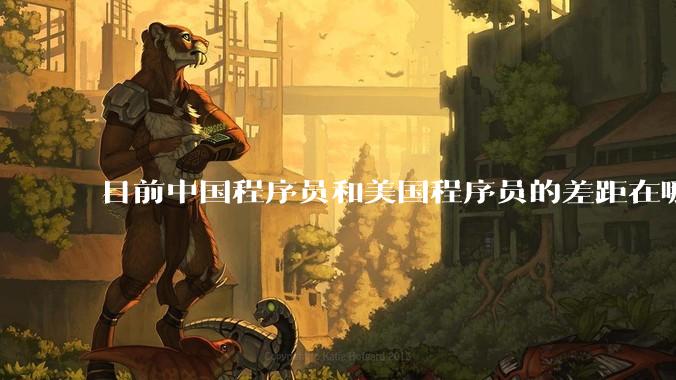 目前中国程序员和美国程序员的差距在哪里？