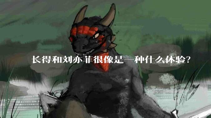 长得和刘亦菲很像是一种什么体验？